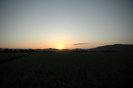 b0178923_21552937.gif