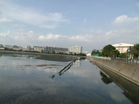 e0191725_23322177.jpg