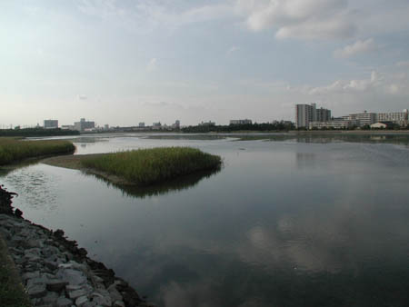 e0191725_23323026.jpg