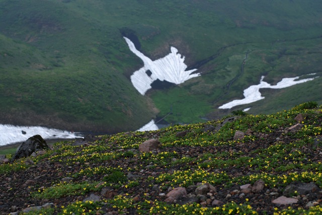 c0027027_012013.jpg