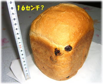 c0058727_12504369.jpg