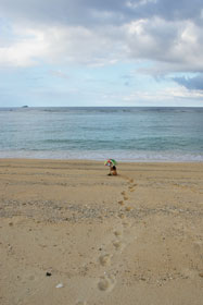 ＊おれの海_a0030038_232085.jpg