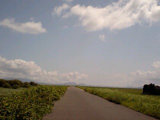 c0059543_1317317.jpg
