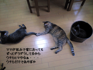 f0116546_2031636.gif