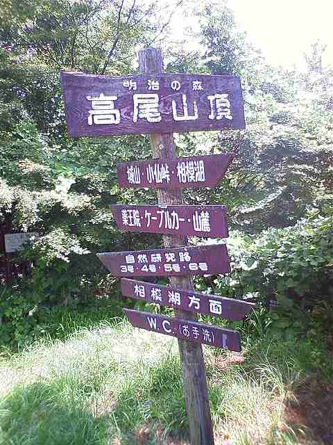 Mt takao_b0150847_11303896.jpg