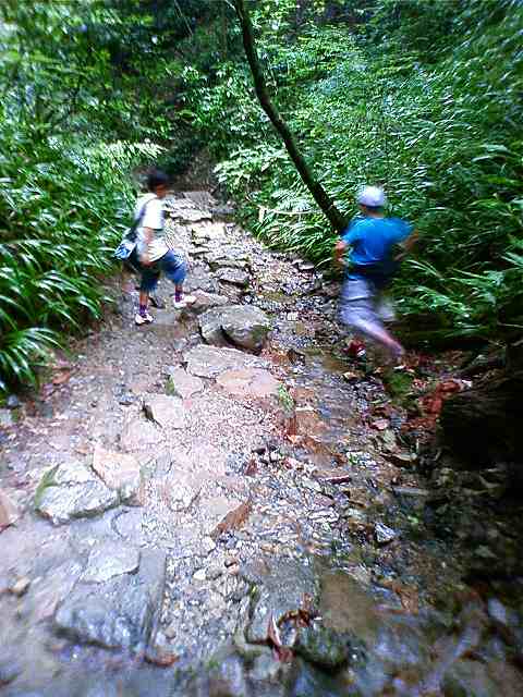 Mt takao_b0150847_12212493.jpg