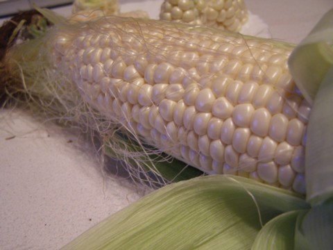 f0043750_7661.jpg