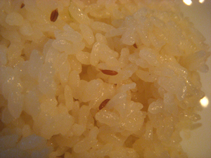 印度マジックカレー ダム キ コム_f0196753_23315243.jpg