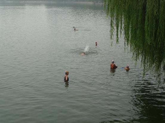 f0056261_22545270.jpg