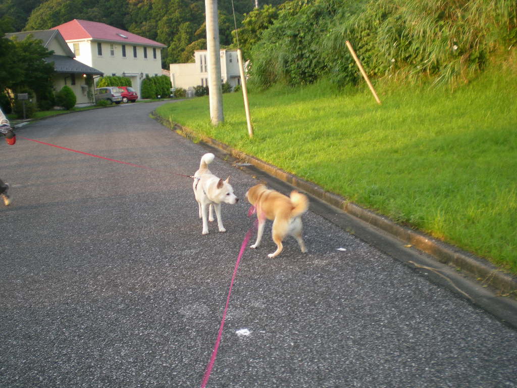 2009年8月14日(金)物まね愛ちゃんとワイン教室!_f0060461_19521121.jpg