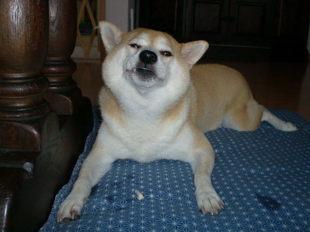 2009年8月14日(金)物まね愛ちゃんとワイン教室!_f0060461_1958445.jpg