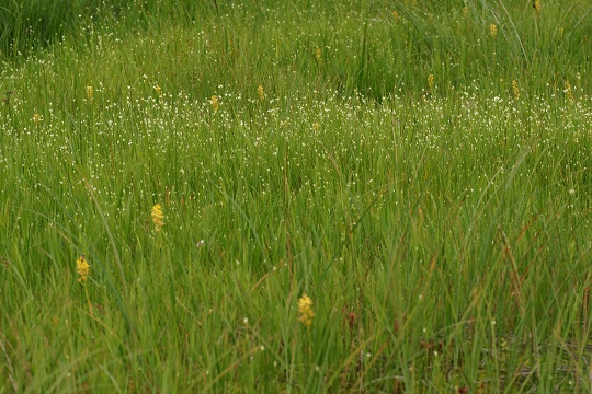 e0054067_0485461.jpg