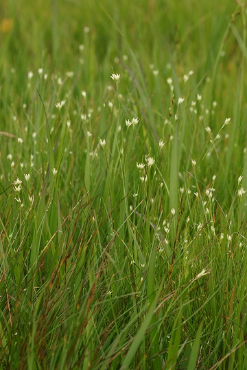 e0054067_049963.jpg