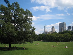 c0176870_6393192.jpg