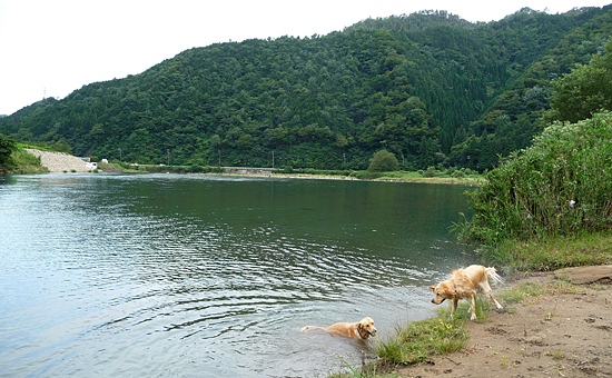c0019774_1233352.jpg