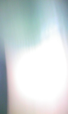 だから_d0101676_1722268.jpg