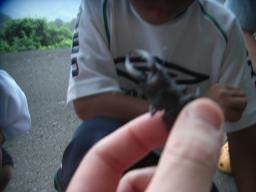 虫捕り!_f0172281_2223155.jpg