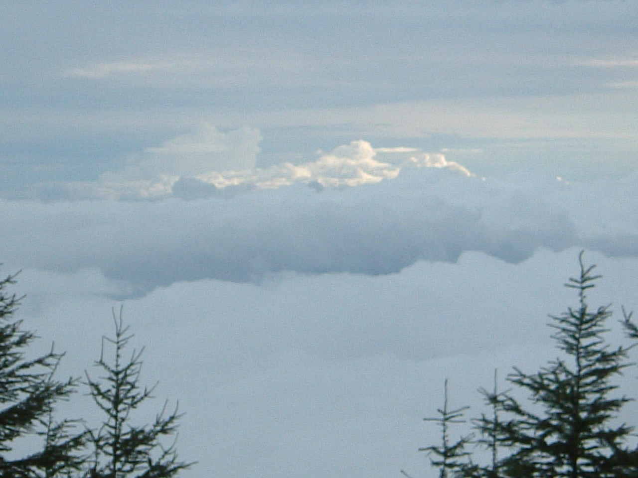 富士山の奥庭_e0139784_13555392.jpg