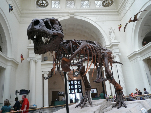 d0134785_10252.jpg