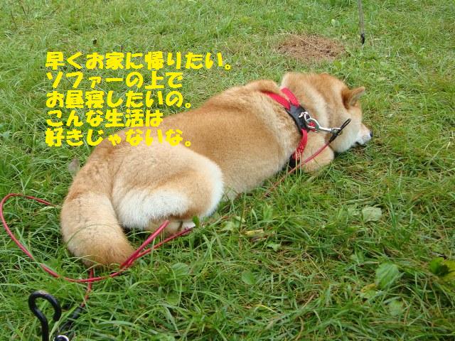 戸隠の思い出(その1)_a0126590_053339.jpg