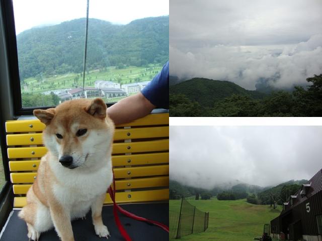 戸隠の思い出(その1)_a0126590_062969.jpg