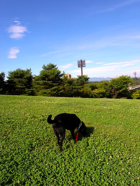a0093592_7585887.jpg