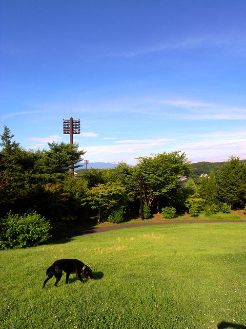 a0093592_801898.jpg