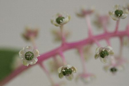 d0133693_21551312.jpg