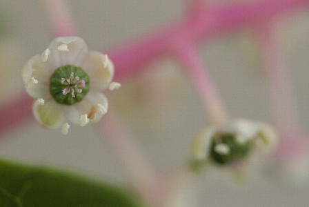 d0133693_2155850.jpg