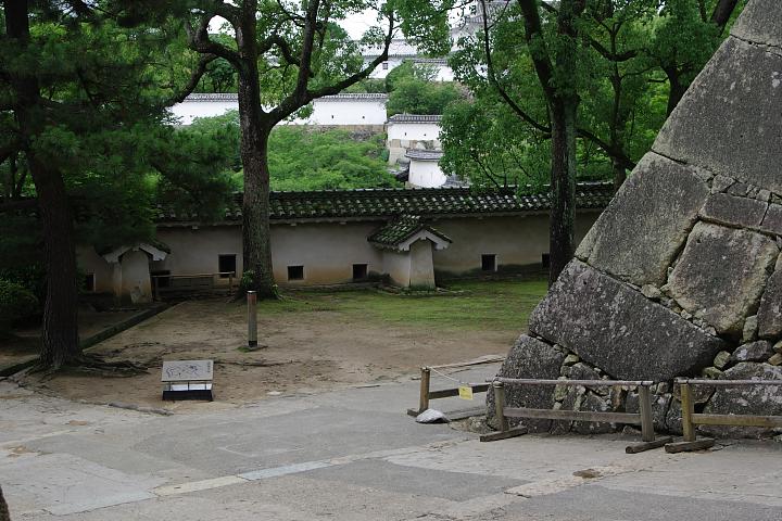 d0069495_072048.jpg