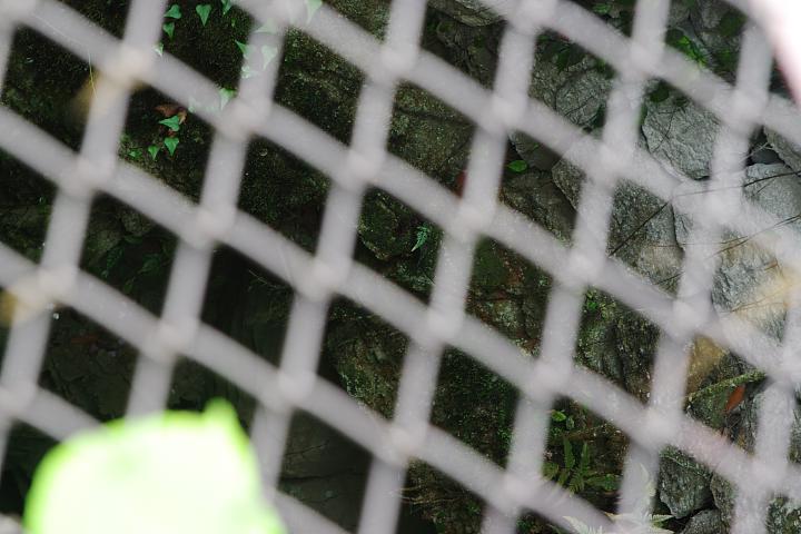 d0069495_08555.jpg