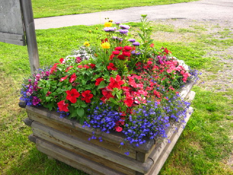 c0180096_4141288.jpg