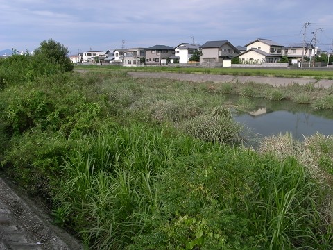 c0196900_16482432.jpg