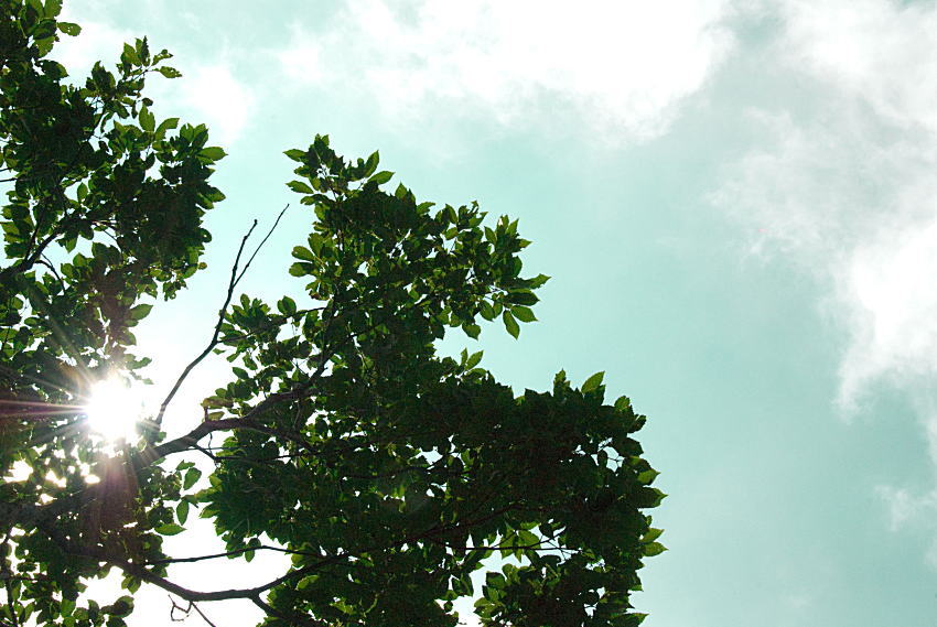 c0193901_12114868.jpg