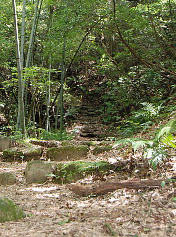 c0193901_12431.jpg
