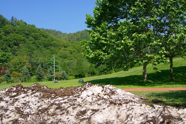 c0125702_814516.jpg
