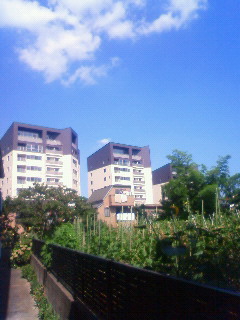 a0123904_14386100.jpg
