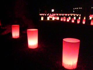 なら燈花会・中元万燈籠_a0122205_040216.jpg