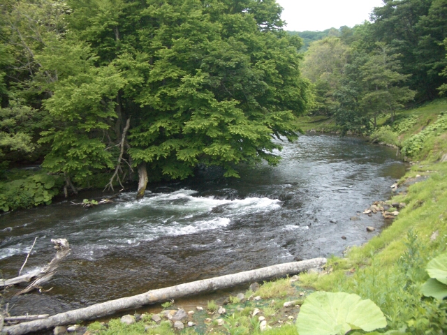 b0172805_12244659.jpg