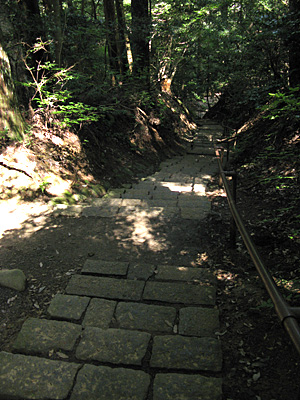 e0065906_818353.jpg
