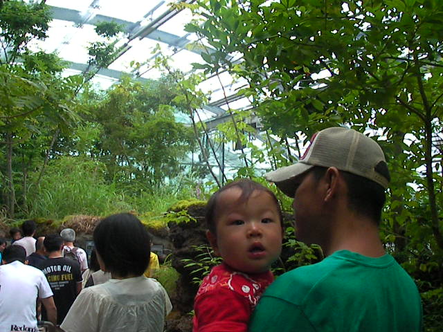 f0038407_16542194.jpg