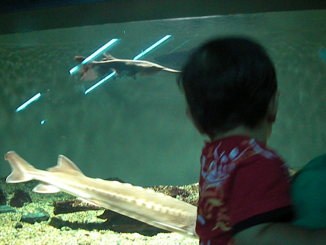 f0038407_16561745.jpg