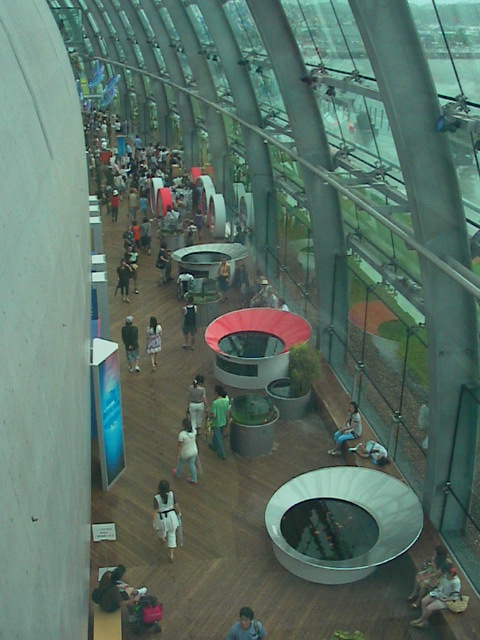f0038407_1710682.jpg
