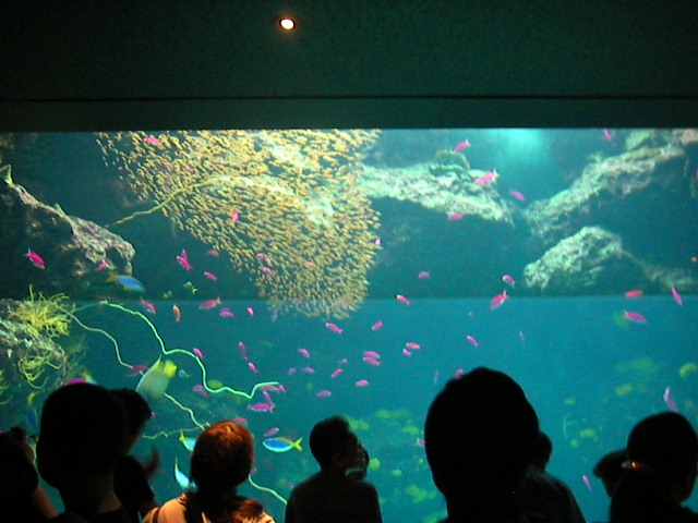 f0038407_1732533.jpg