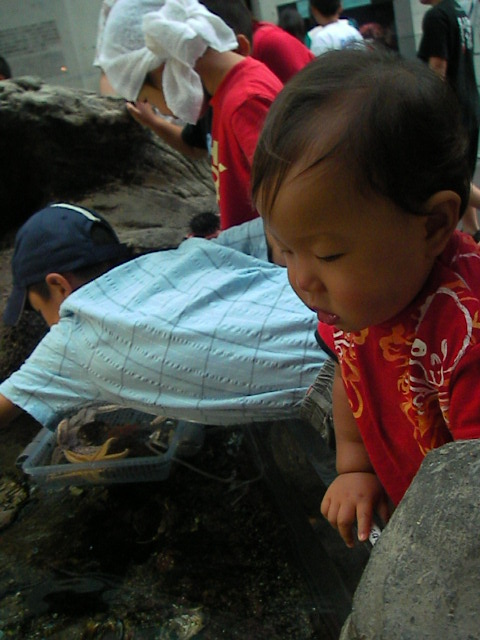 f0038407_1745682.jpg