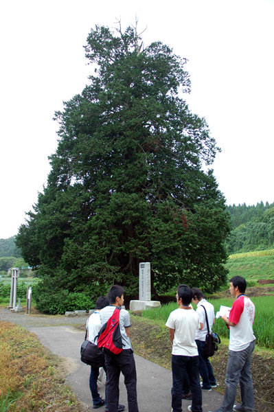f0125708_1984043.jpg