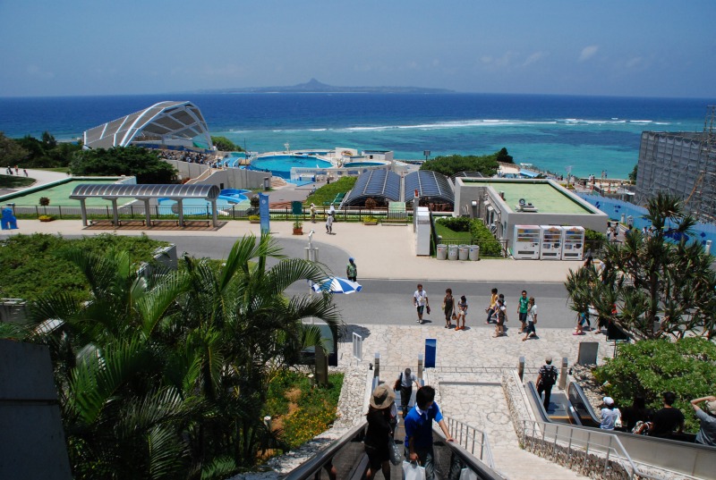 美ら海水族館_d0065116_20221171.jpg