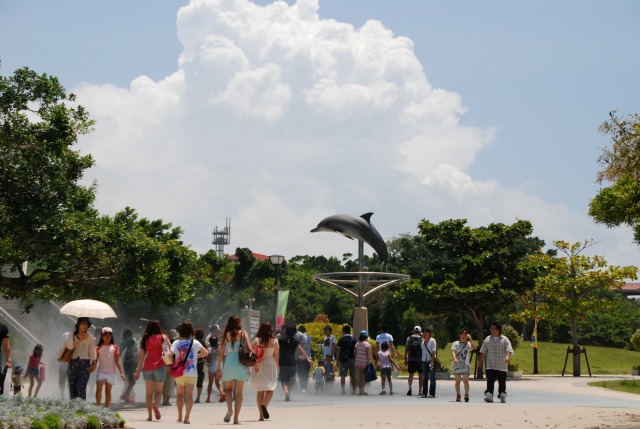 美ら海水族館_d0065116_20241516.jpg