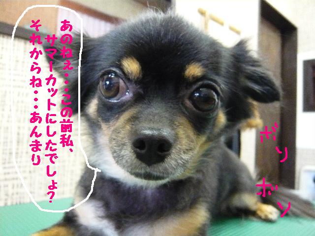 お婿さん＆キマった！！＆伸びないの・・・＆リラックス＆楽しみ♪_b0130018_13194979.jpg