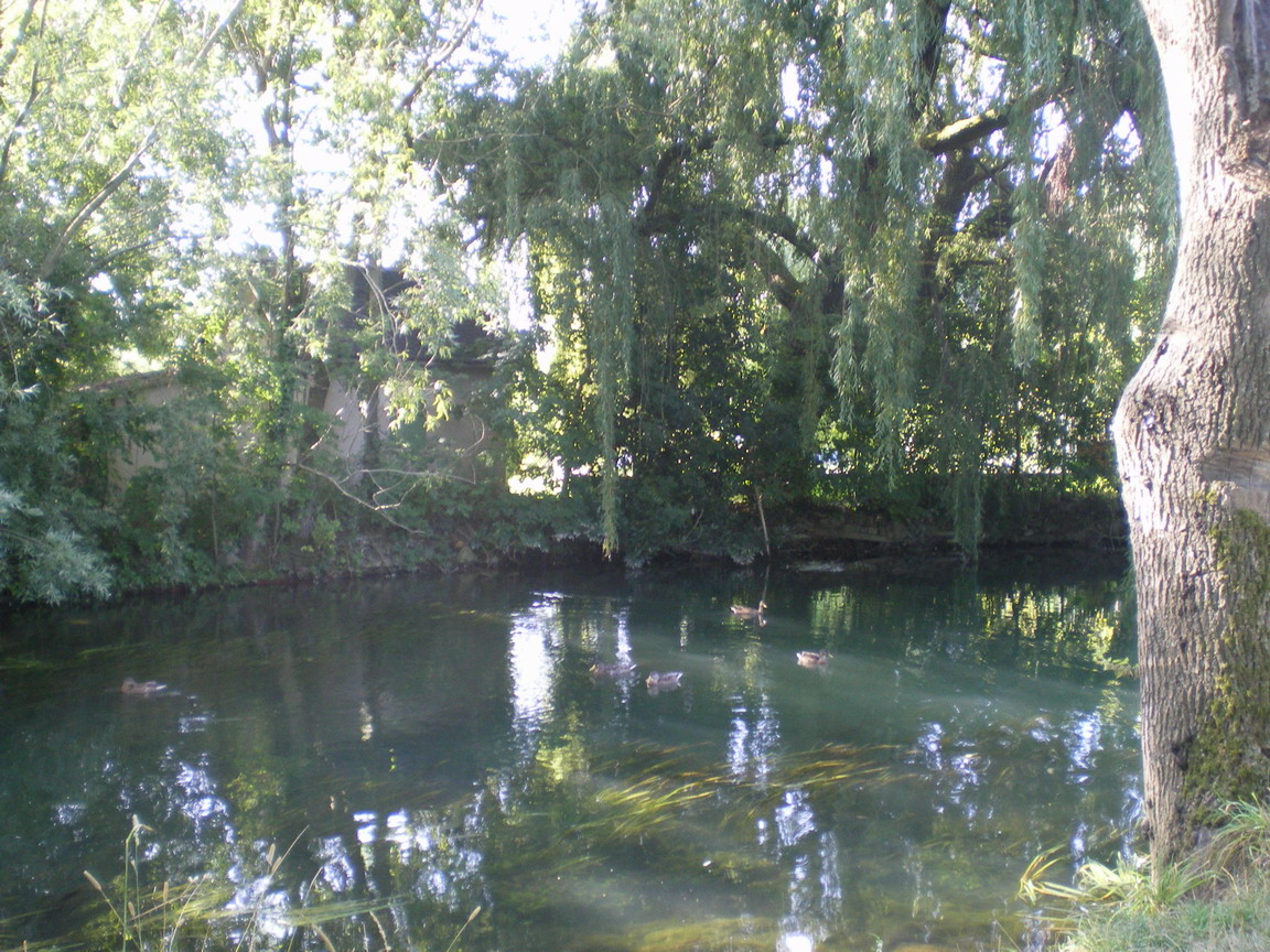 c0124619_14323100.jpg